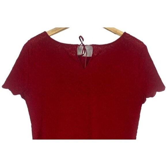Ann Taylor LOFT Embroidered Short Sleeve Sheer Lace Top Tie Back M Red #2554 - Picture 5 of 12